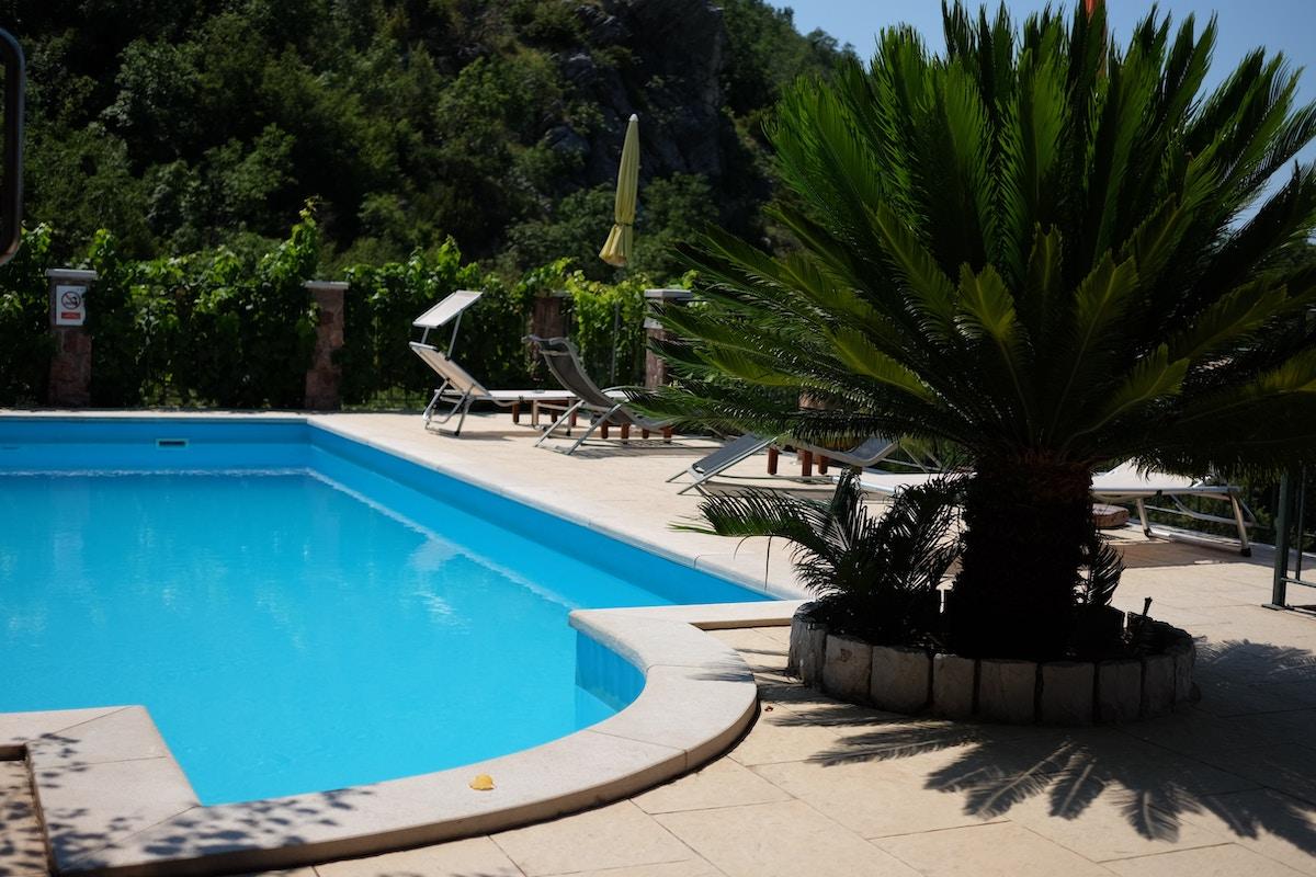 Completed backyard plunge pool renovation in Mosman with new landscaping