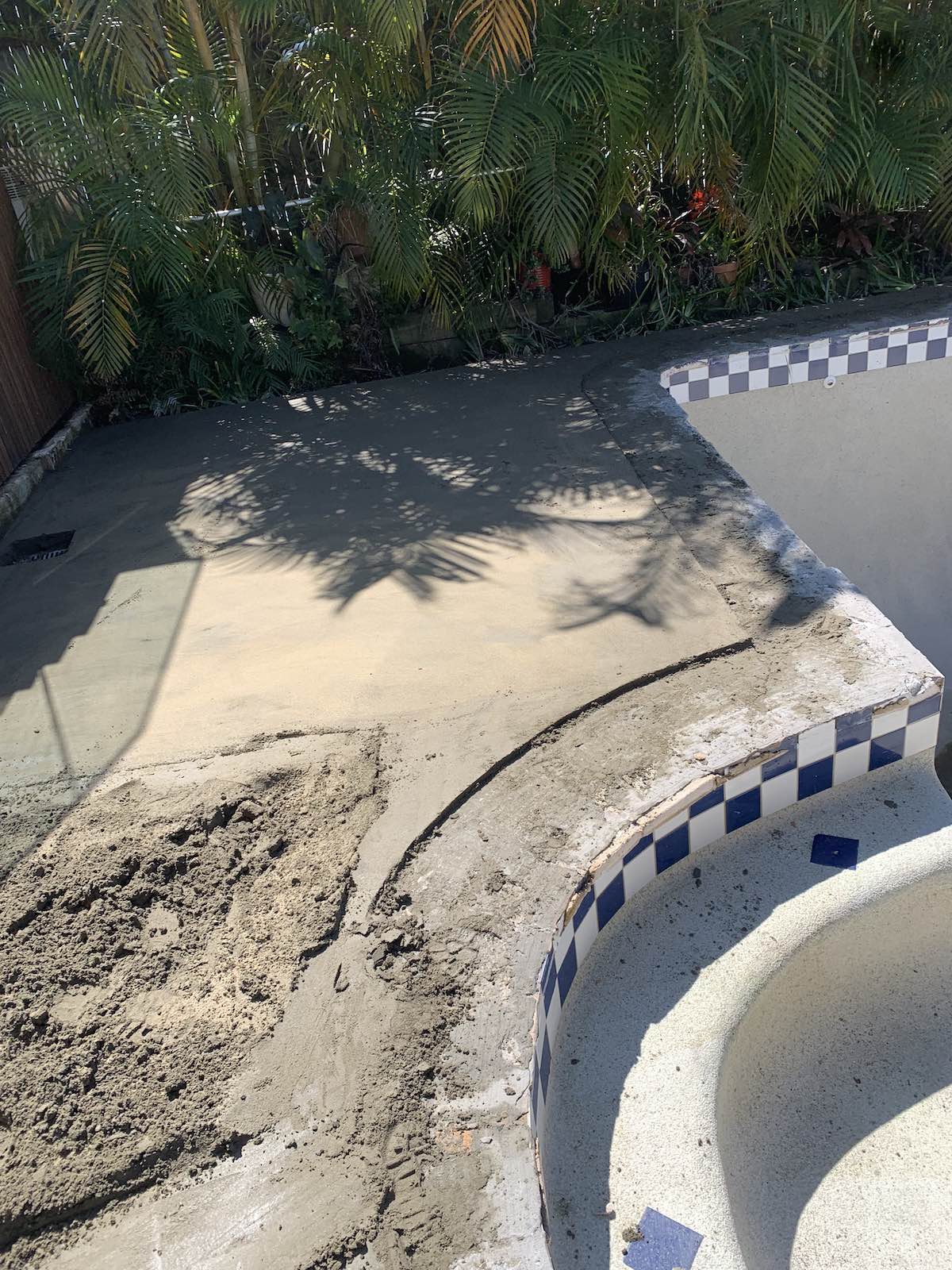 The big pool restoration after revealing a hidden swimming pool shell in Mosman backyard